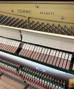 YAMAHA UX30 BiC