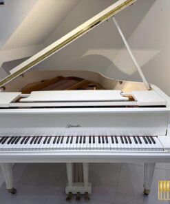 Ritmuller GP160R PW (USED)