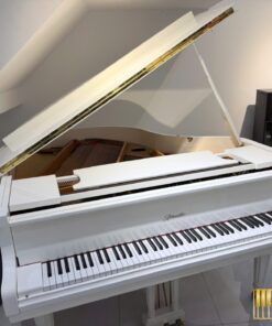 Ritmuller GP160R PW (USED)