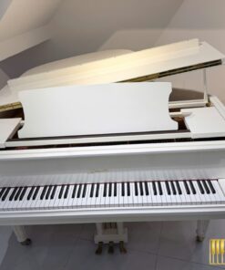 Ritmuller GP160R PW (USED)