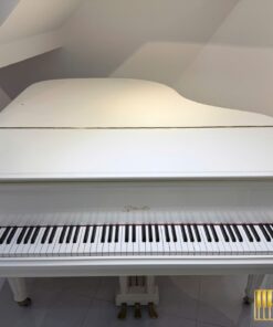 Ritmuller GP160R PW (USED)