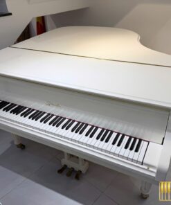 Ritmuller GP160R PW (USED)
