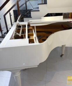Ritmuller GP160R PW (USED)