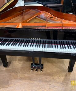 YAMAHA C3L