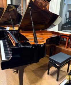 YAMAHA C3L