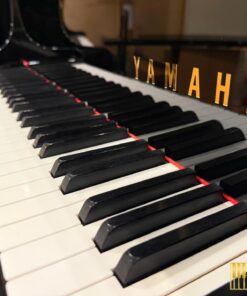 YAMAHA C3L