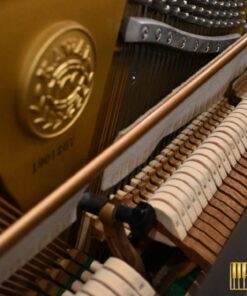 KAWAI US-6X