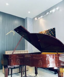 Wilhelm Schimmel W180 Tradition Mahogany (USED)
