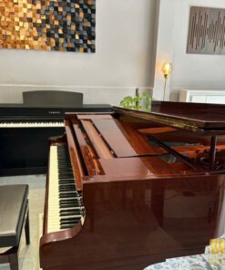Wilhelm Schimmel W180 Tradition Mahogany (USED)