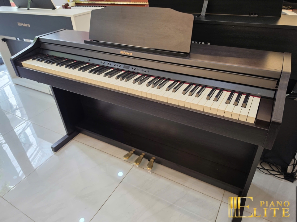 ROLAND RP-501R - Elite Piano