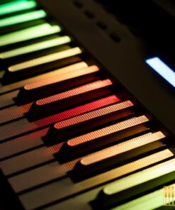 Wave W267 LED Key | Phím piano led độc đáo (trắng & đen)