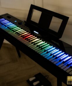 Wave W267 LED Key | Phím piano led độc đáo (trắng & đen)