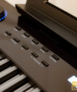 Wave W267 LED Key | Phím piano led độc đáo (trắng & đen)