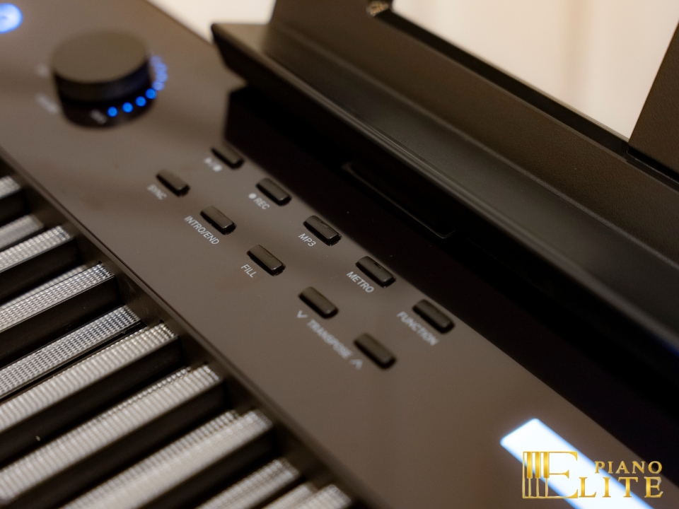 Wave W267 LED Key - Elite Piano