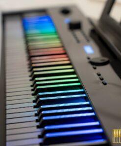Wave W267 LED Key | Phím piano led độc đáo (trắng & đen)