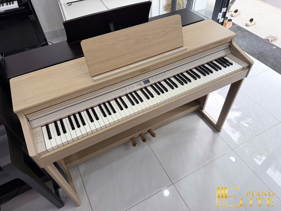 ROLAND RP-701 LA (USED)