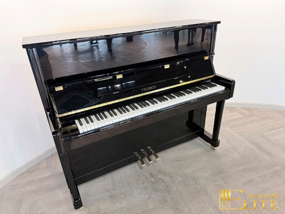 FEURICH 122 Universal (Black Polished - Brass)