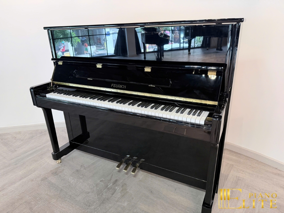 FEURICH 122 Universal (Black Polished - Brass) - Elite Piano