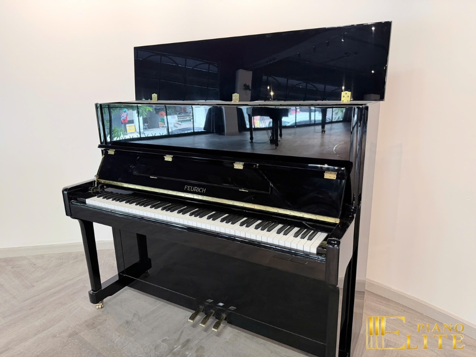 FEURICH 122 Universal (Black Polished - Brass) - Elite Piano