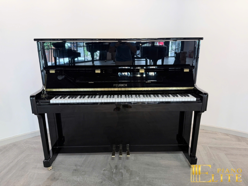 FEURICH 122 Universal (Black Polished - Brass) - Elite Piano