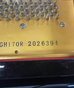 Ritmuller GH170R