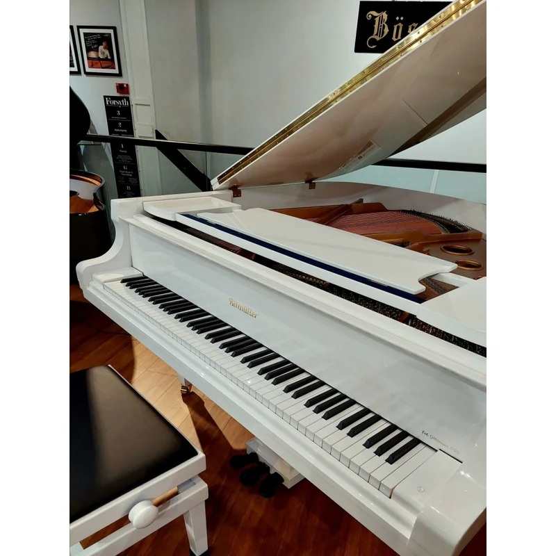 Review Ritmuller R9 – Hình ảnh thực tế tại showroom Elite Piano