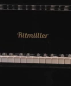 Ritmuller RS175 (Polished Blue)