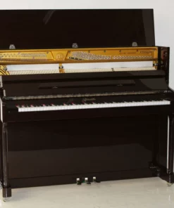 Ritmuller RSH119
