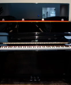 Ritmuller UHX121