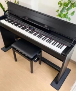 ROLAND DP-603 CBS (New)