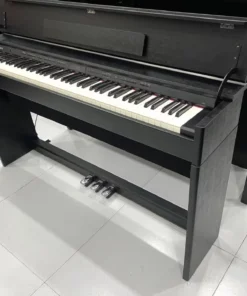 ROLAND DP-603 CBS (New)