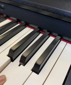 ROLAND DP-603 CBS (New)