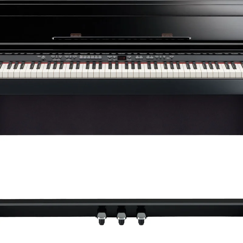 ROLAND DP-990R PE