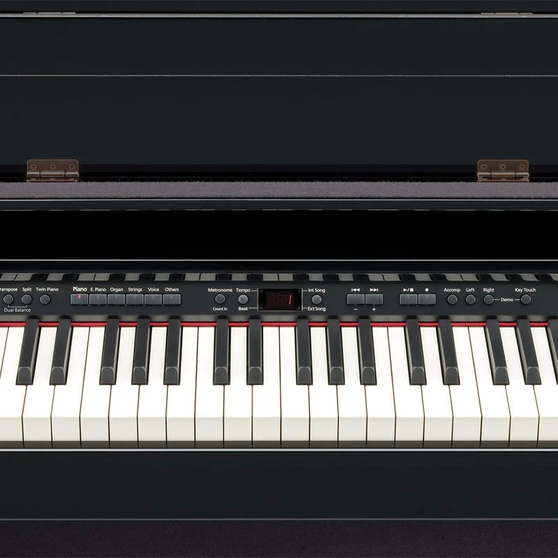 ROLAND DP-990R PE