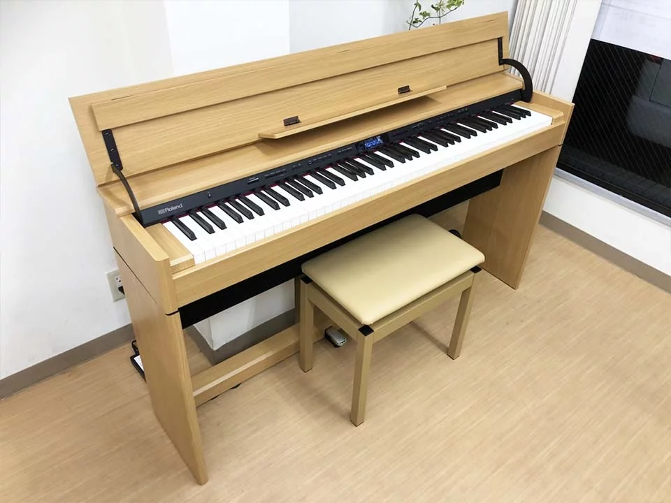 ROLAND DP-603 NBS