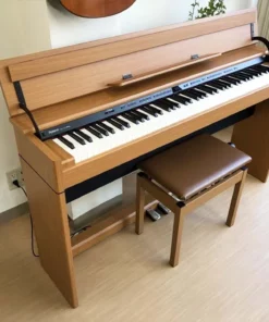 ROLAND DP-90E LWS