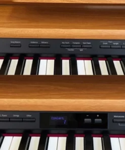 ROLAND DP-90E LWS