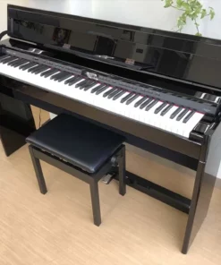 ROLAND DP-90S PE