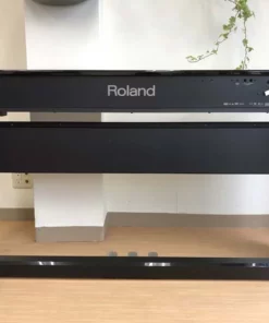 ROLAND DP-90S PE