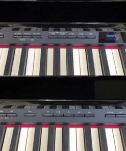 ROLAND DP-90S PE