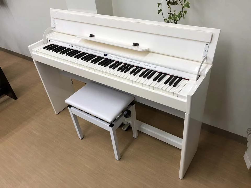 ROLAND DP-90Se PWS - Elite Piano
