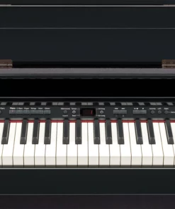 ROLAND DP-990