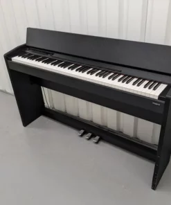 ROLAND F-110 B