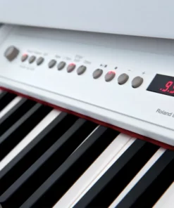 ROLAND F-110 B