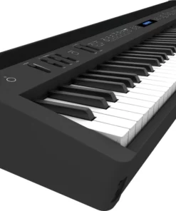 Roland FP-60X BK (USED)