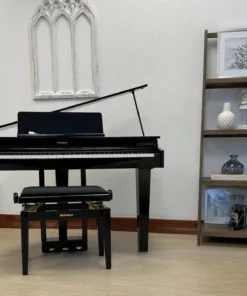 ROLAND GP-3 PE (Used)