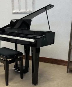 ROLAND GP-3 PE (Used)