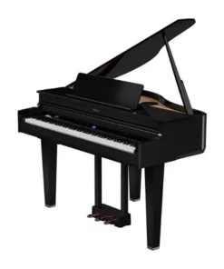 ROLAND GP-6 PE (Used)