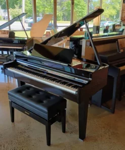 ROLAND GP-6 PE (Used)