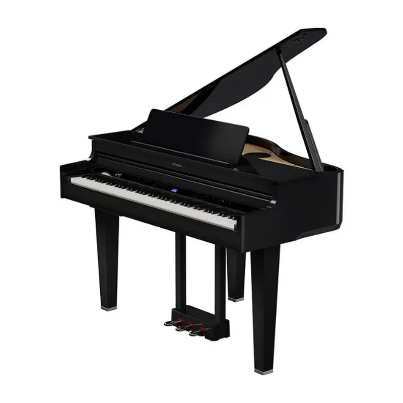 ROLAND GP-6 PE